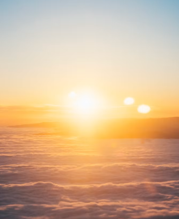 Zinc + Vitamin D3
